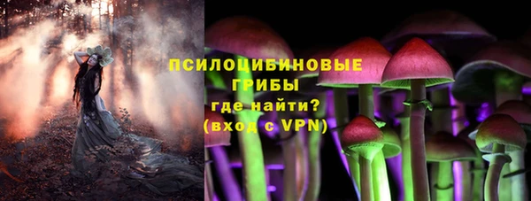 эйфоретик Горнозаводск