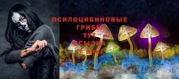 гашик Вяземский