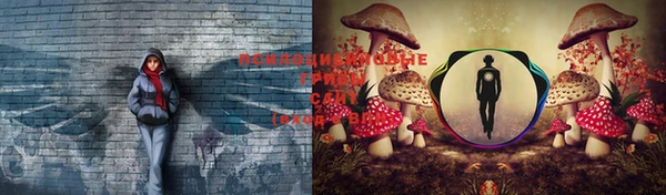 эйфоретик Горнозаводск