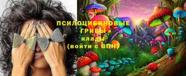 крисы Вязьма